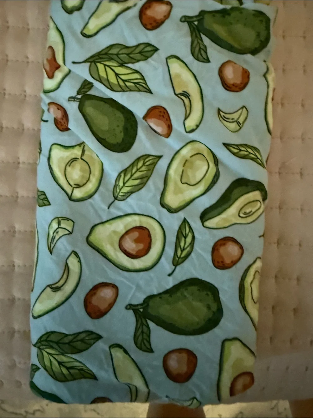 Little Sleepies Hat and Swaddle Set - Light Blue Avocado Print